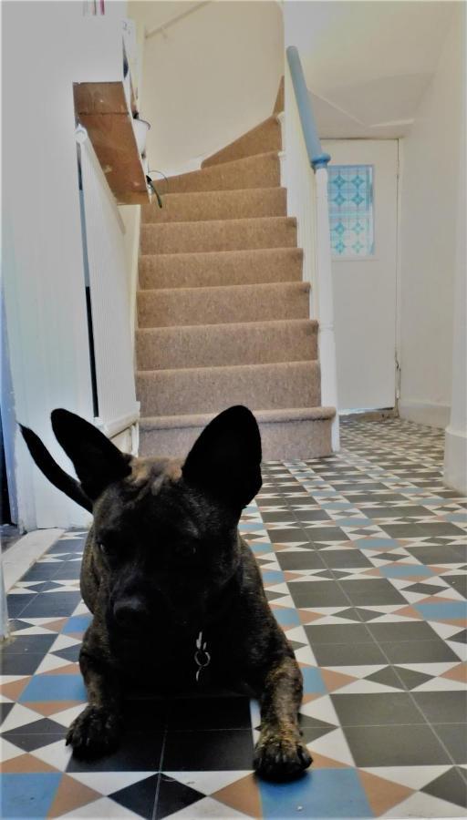 The Bear Bread Bakery B&B, Ensuite Rooms Above The Bakery, Colyton エクステリア 写真