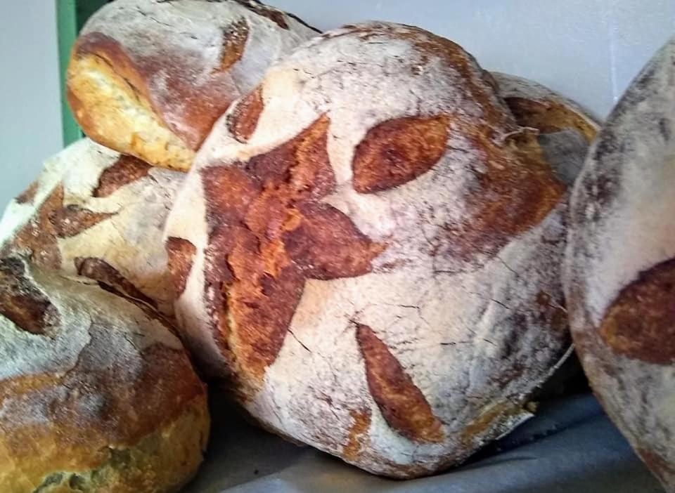 The Bear Bread Bakery B&B, Ensuite Rooms Above The Bakery, Colyton エクステリア 写真