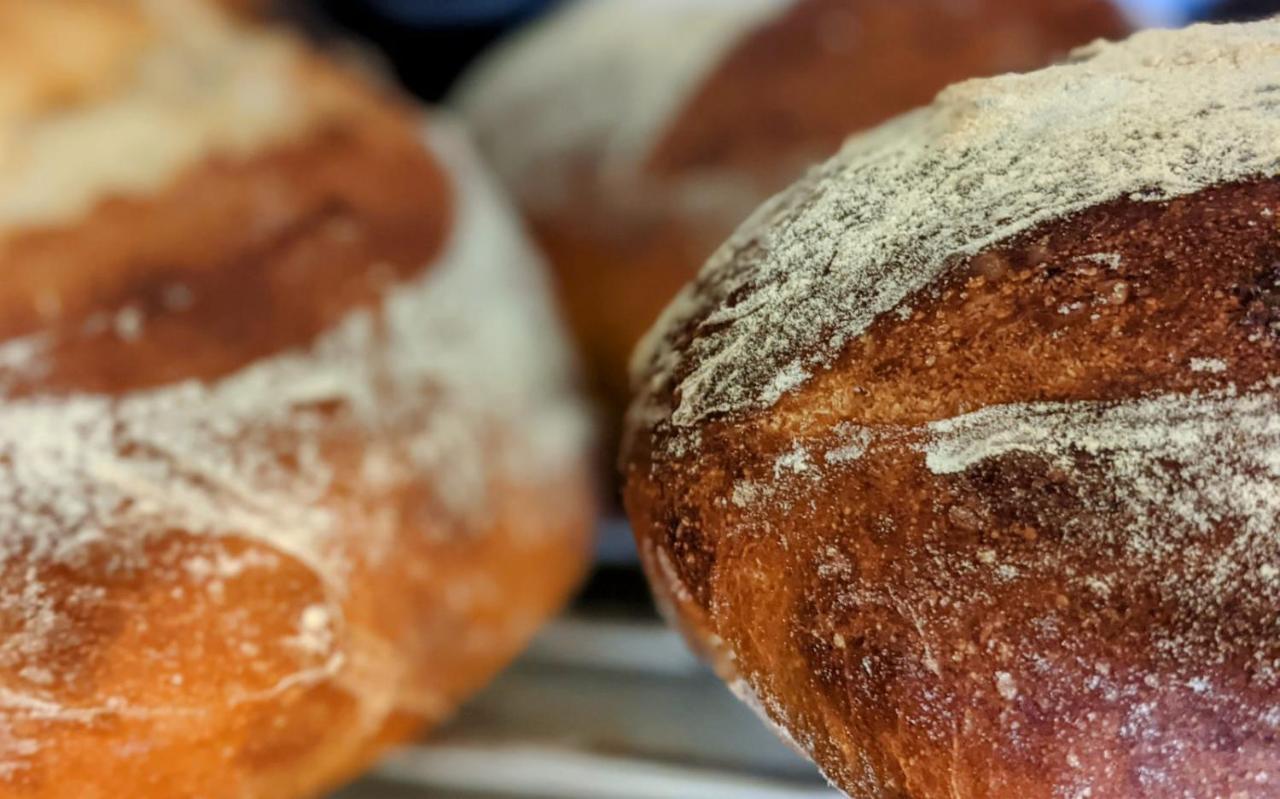 The Bear Bread Bakery B&B, Ensuite Rooms Above The Bakery, Colyton エクステリア 写真
